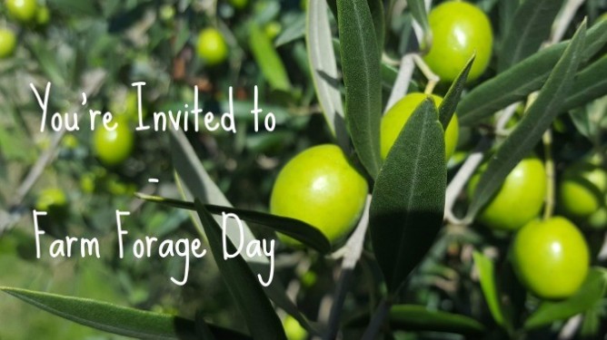 Farm Forage Day – You’re Invited!