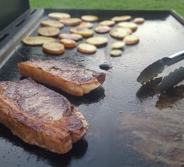 Grass Fed Beef for the Summer Season